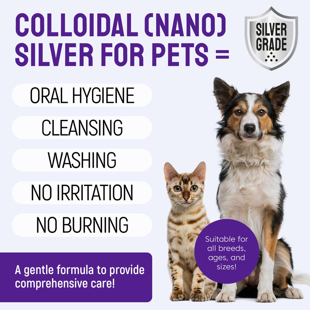 SILVER GRADE spray application to teeth aids routine cleaning.