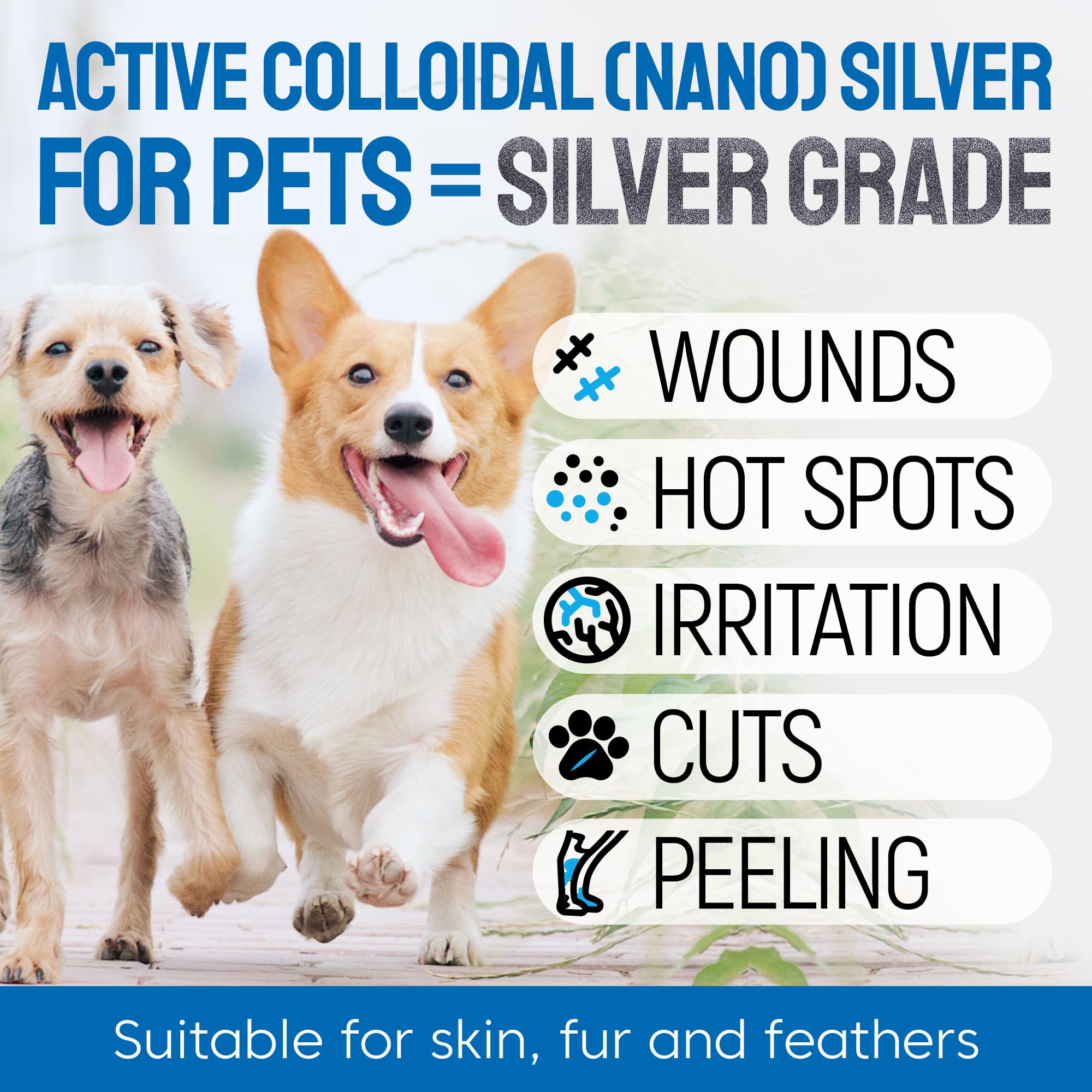 SILVER GRADE wound spray application demonstrates easy, even coverage for scratches and hotspots.
