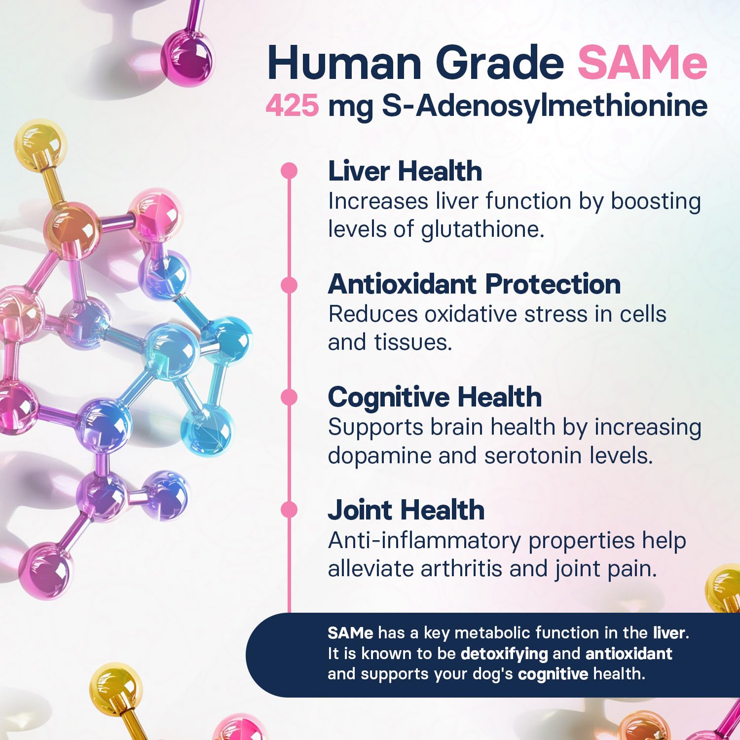 SilymarinAdvanced dog energy during walk showcases cognitive support and vitality.