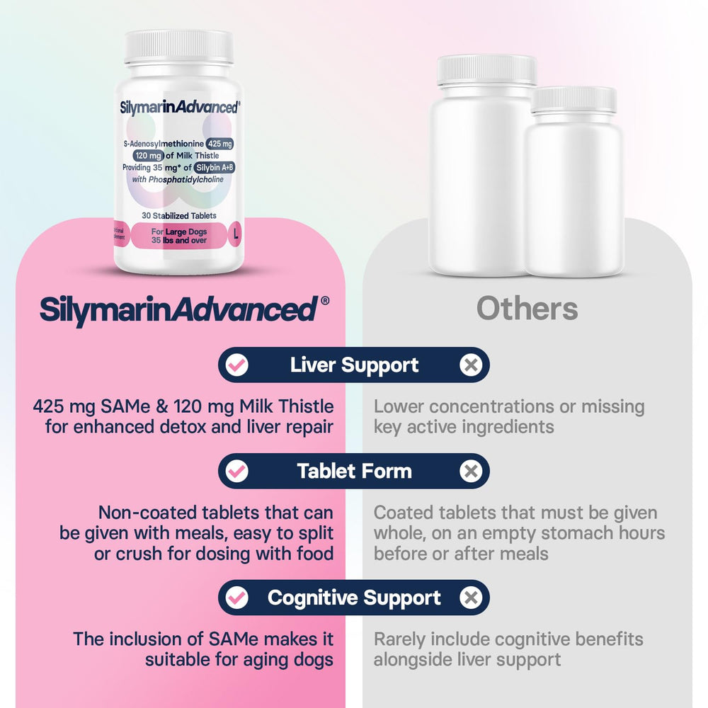 SilymarinAdvanced natural ingredients milk thistle visual emphasizes plant-based support.