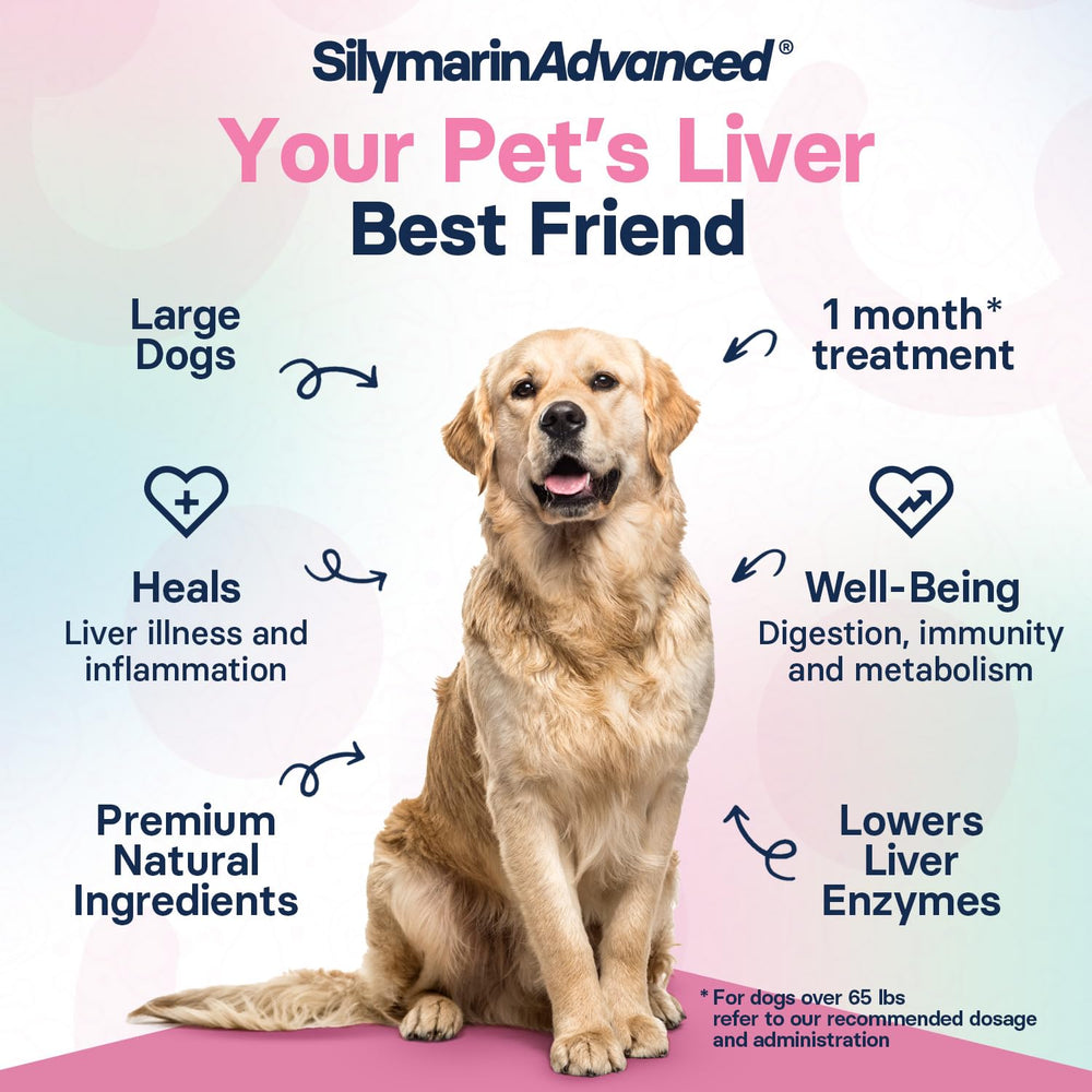 SilymarinAdvanced tablet in mouth image emphasizes easy administration and taste.