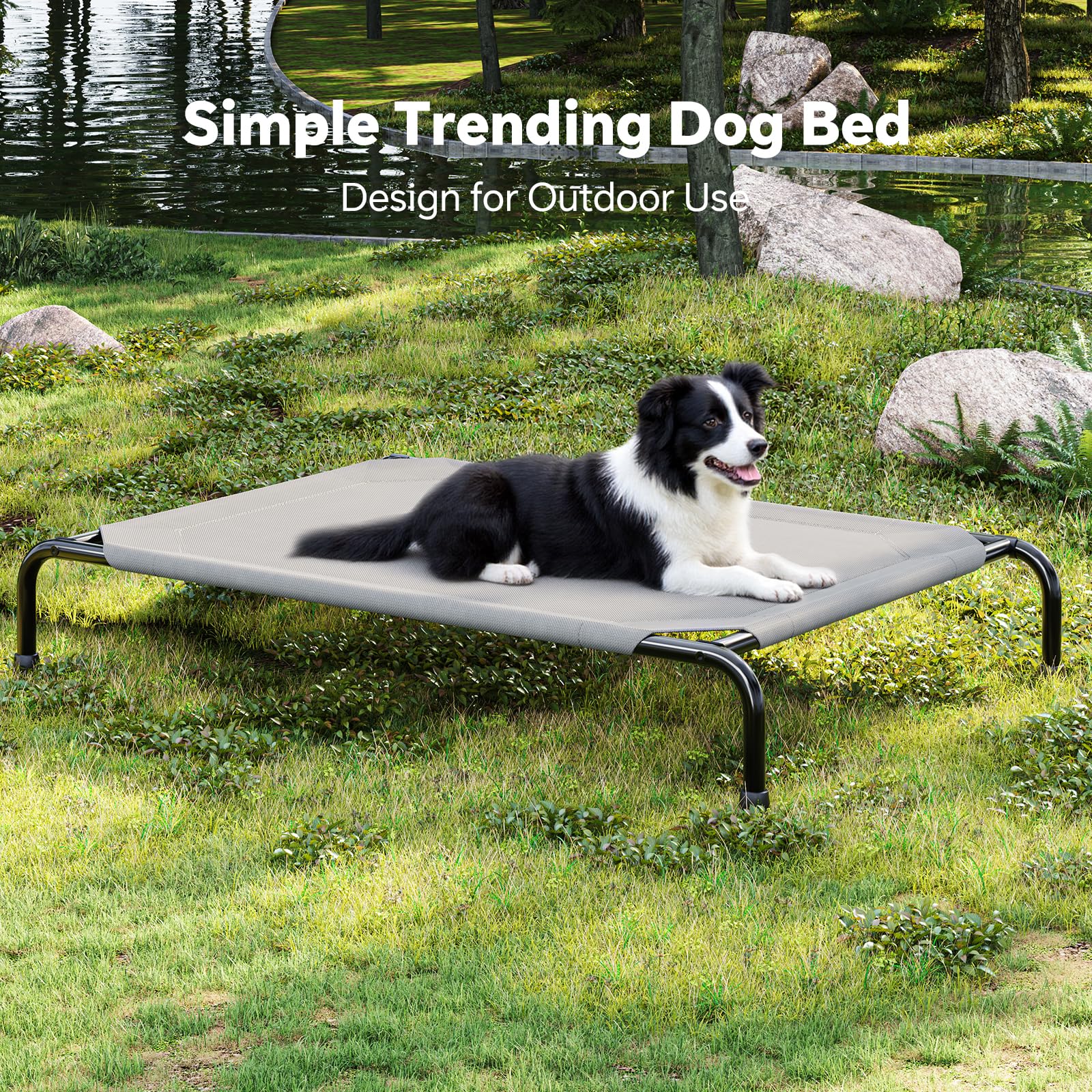 Simple Trending raised dog bed weight capacity graphic emphasizes up to 200 pounds