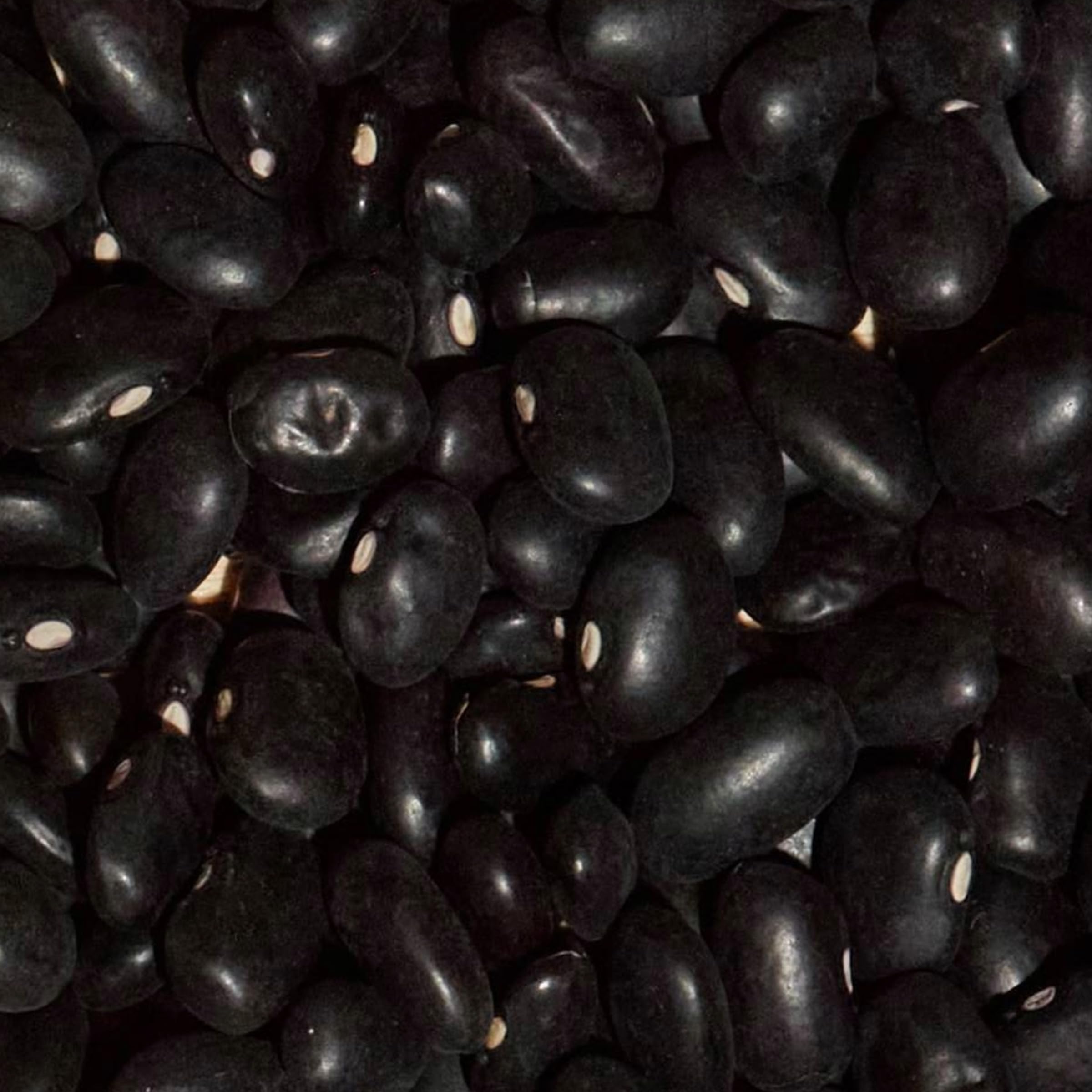SIMPLi bulk dry beans pack demonstrates cost-effective pantry option for family meals.