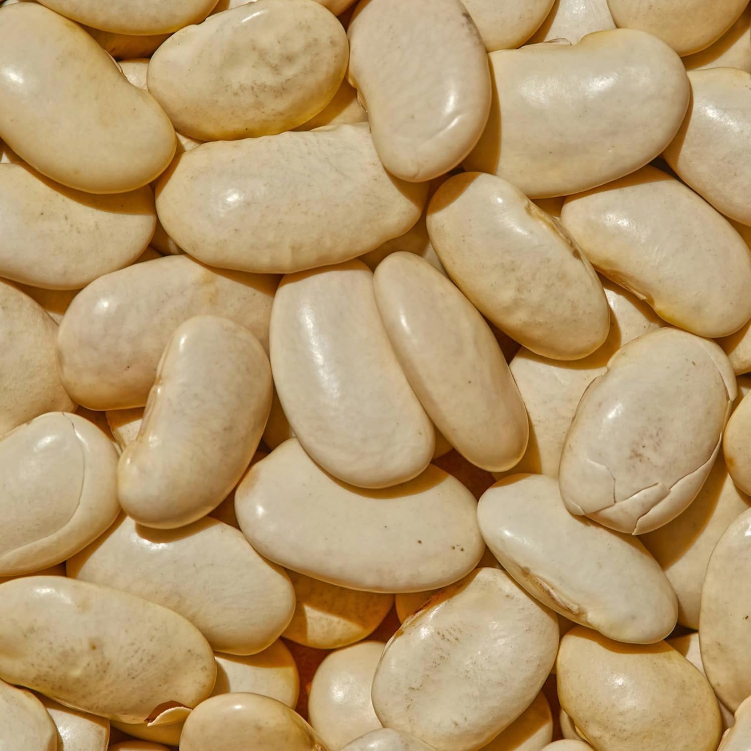 Cooked SIMPLi Gigante beans provide plant-based protein for bowls.