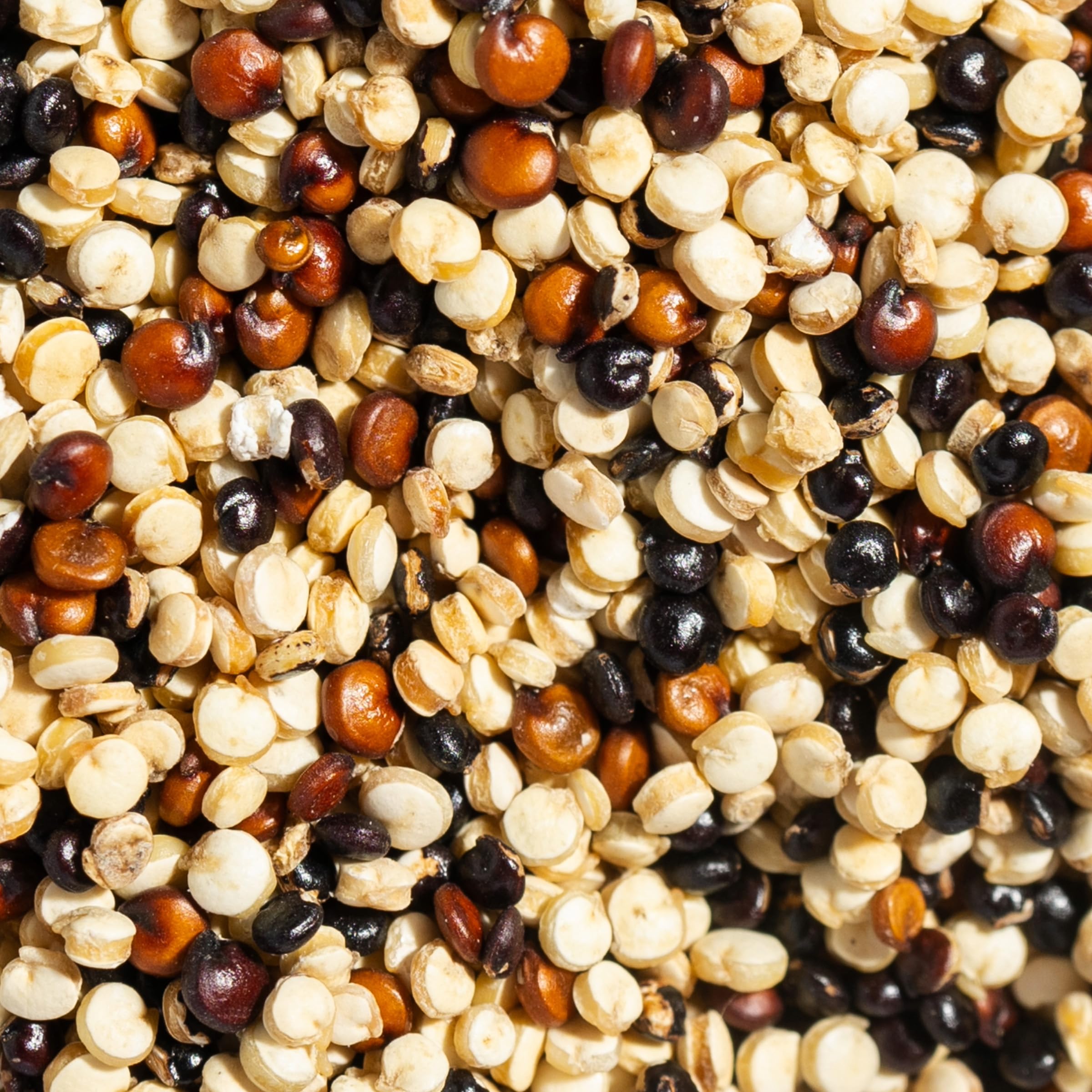 SIMPLi Tri-Color Quinoa salad bowl with fiber-rich, gluten-free option