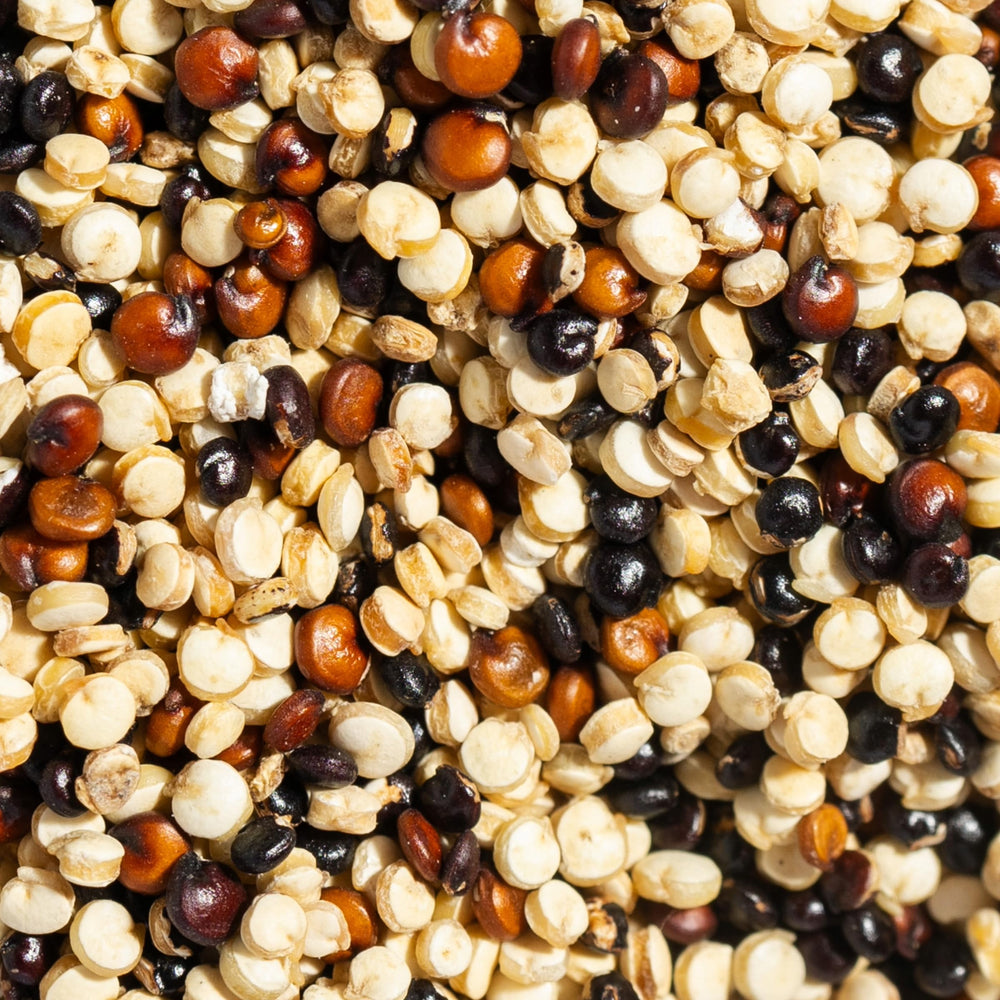 SIMPLi Tri-Color Quinoa salad bowl with fiber-rich, gluten-free option