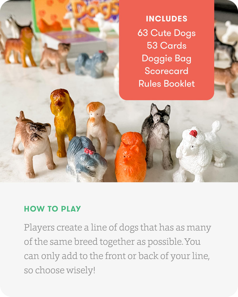Walk The Dogs supports 2 to 5 players for family play.