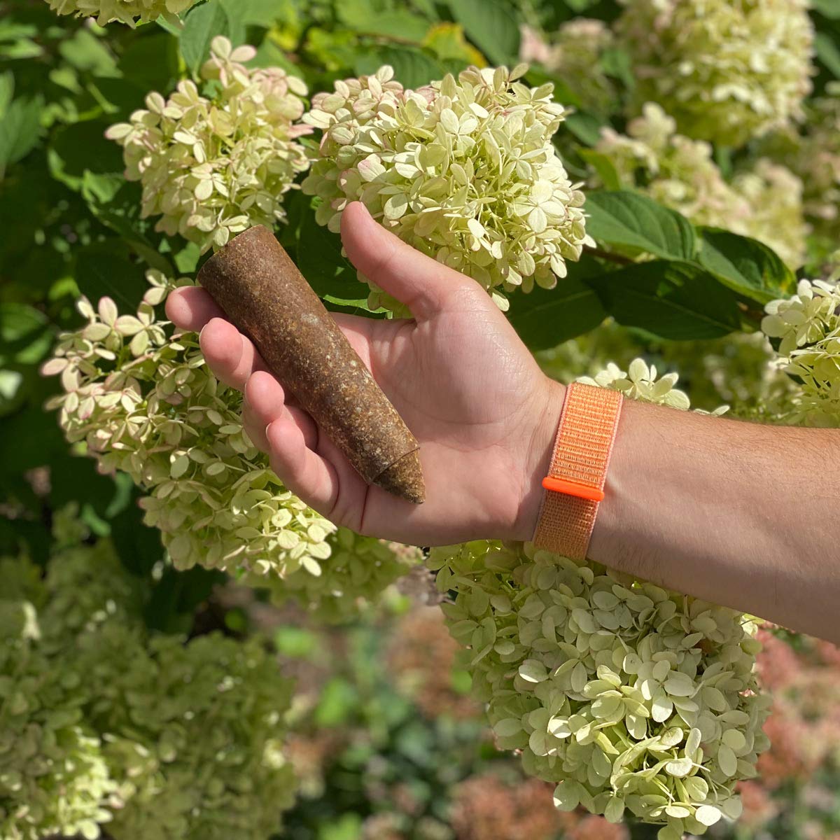 SimplyGro spikes in use show easy hammer-in application for continuous root feeding.