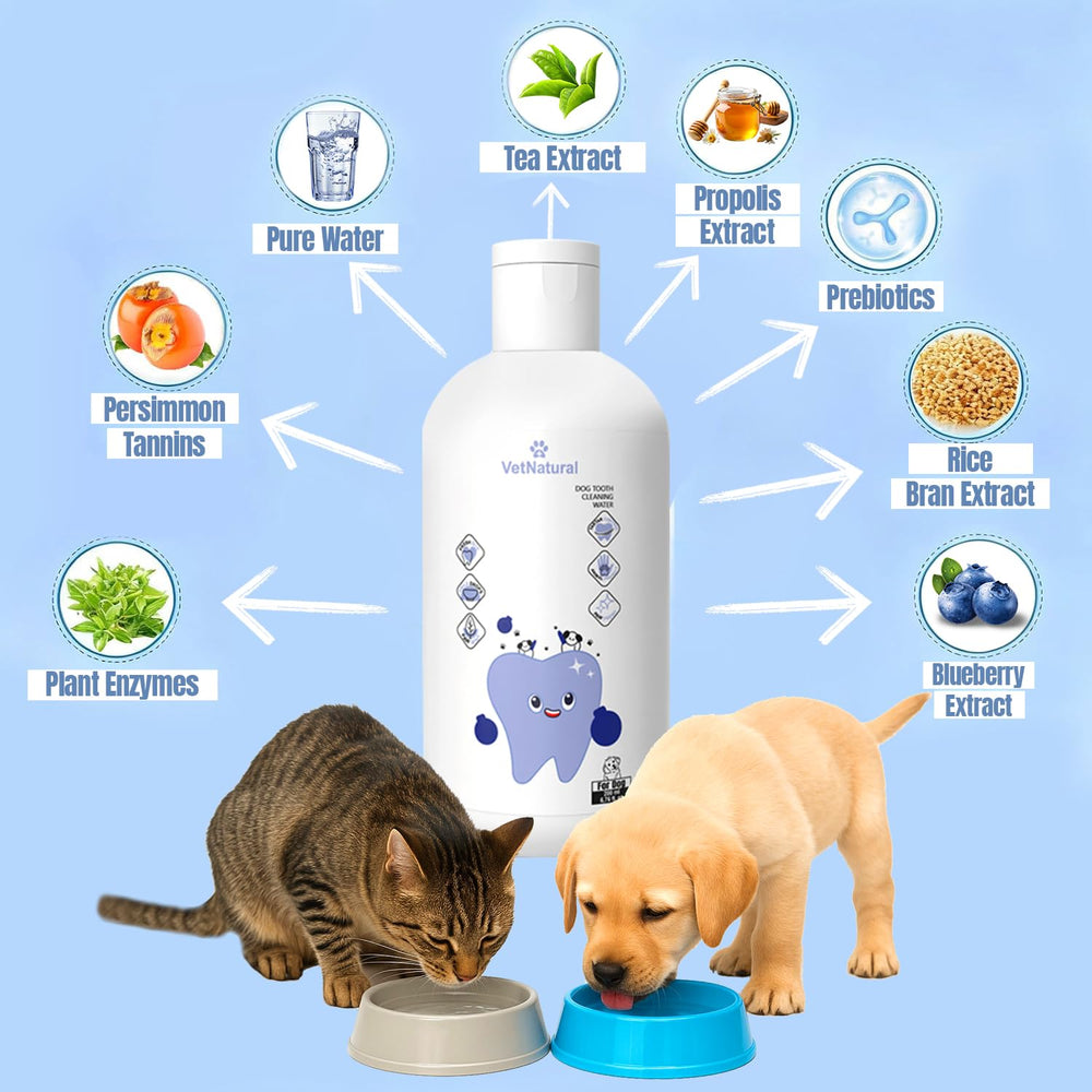 Dog drinks PawBright Dental Plus water additive for easy daily dental care