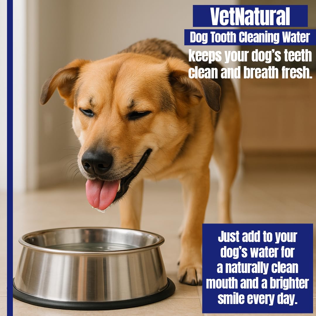 Packaging and branding of PawBright Dental Plus for pets