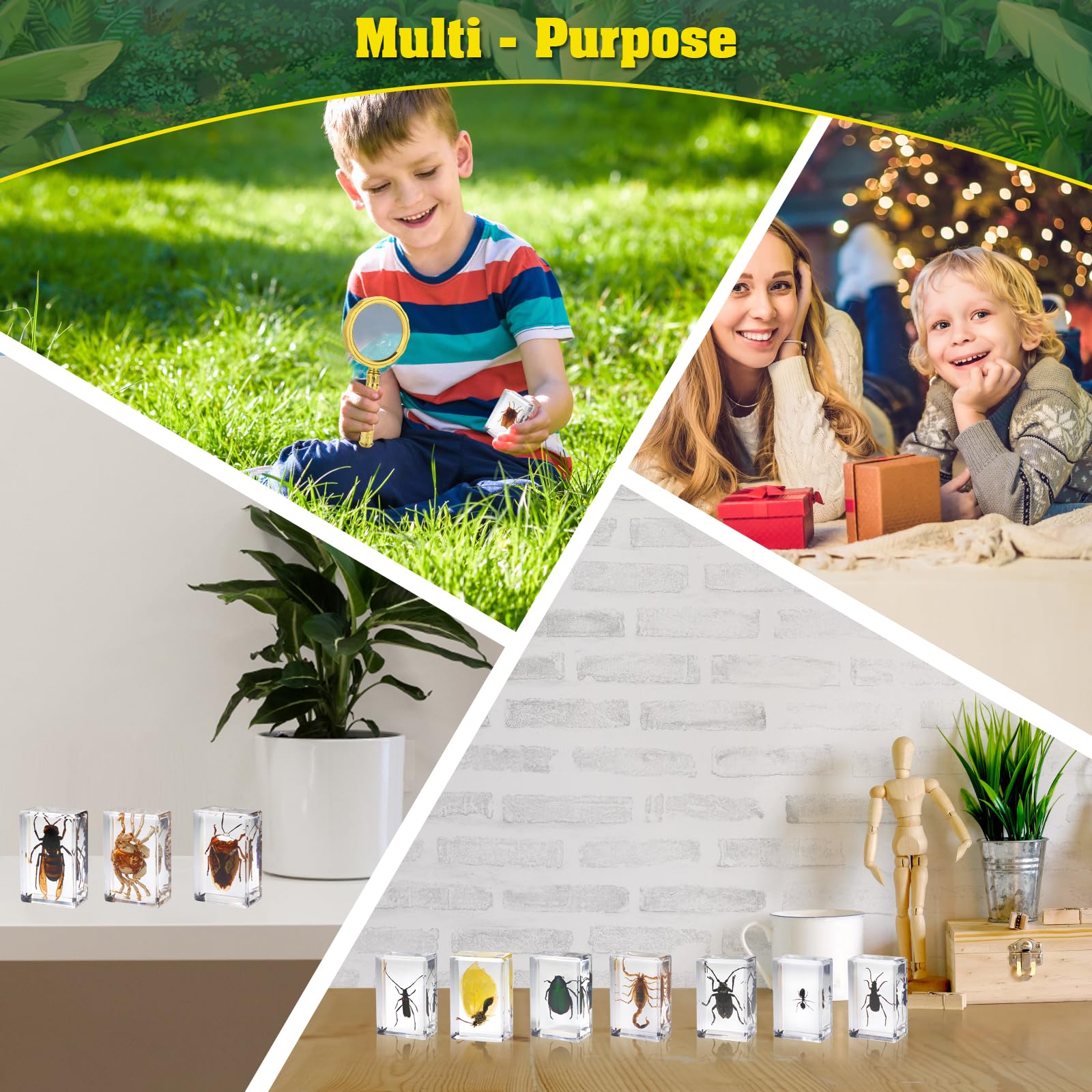 SINGEWOW educational biology collection ideal for learning and gifts