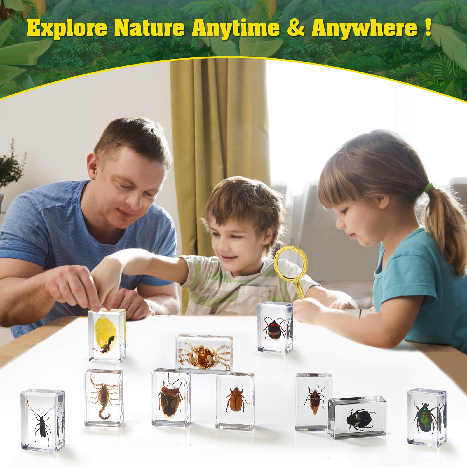 SINGEWOW naturally deceased insects preserved in resin for durable display