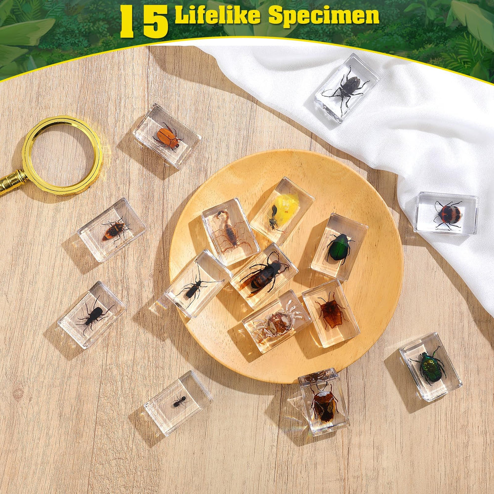 SINGEWOW resin insect specimens showing natural forms for science education