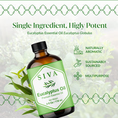 SIVA Eucalyptus oil diluted with carrier oil for skincare routine