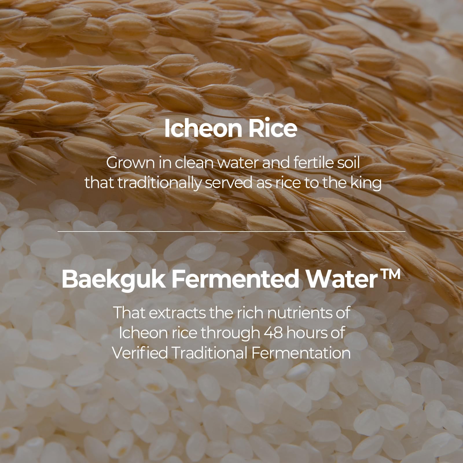 Texture close-up of SKINFOOD 1957 Rice Serum showing lightweight absorption