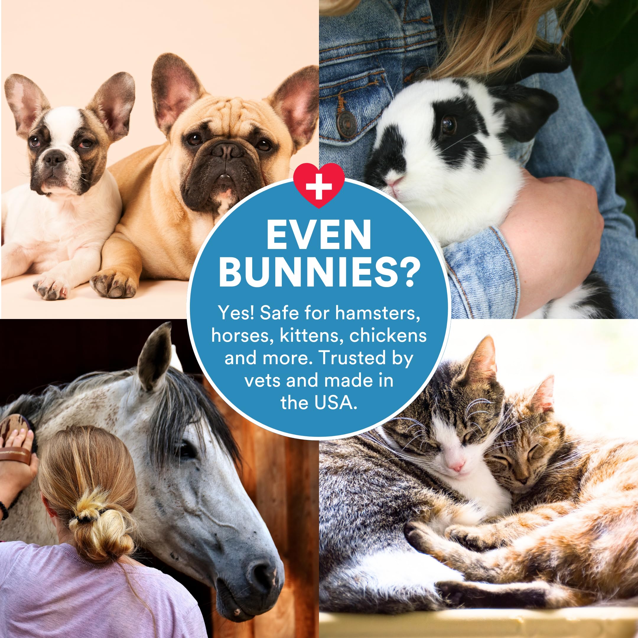 SkinSmart wound-care for scratches and hot spots applied with spray across fur.
