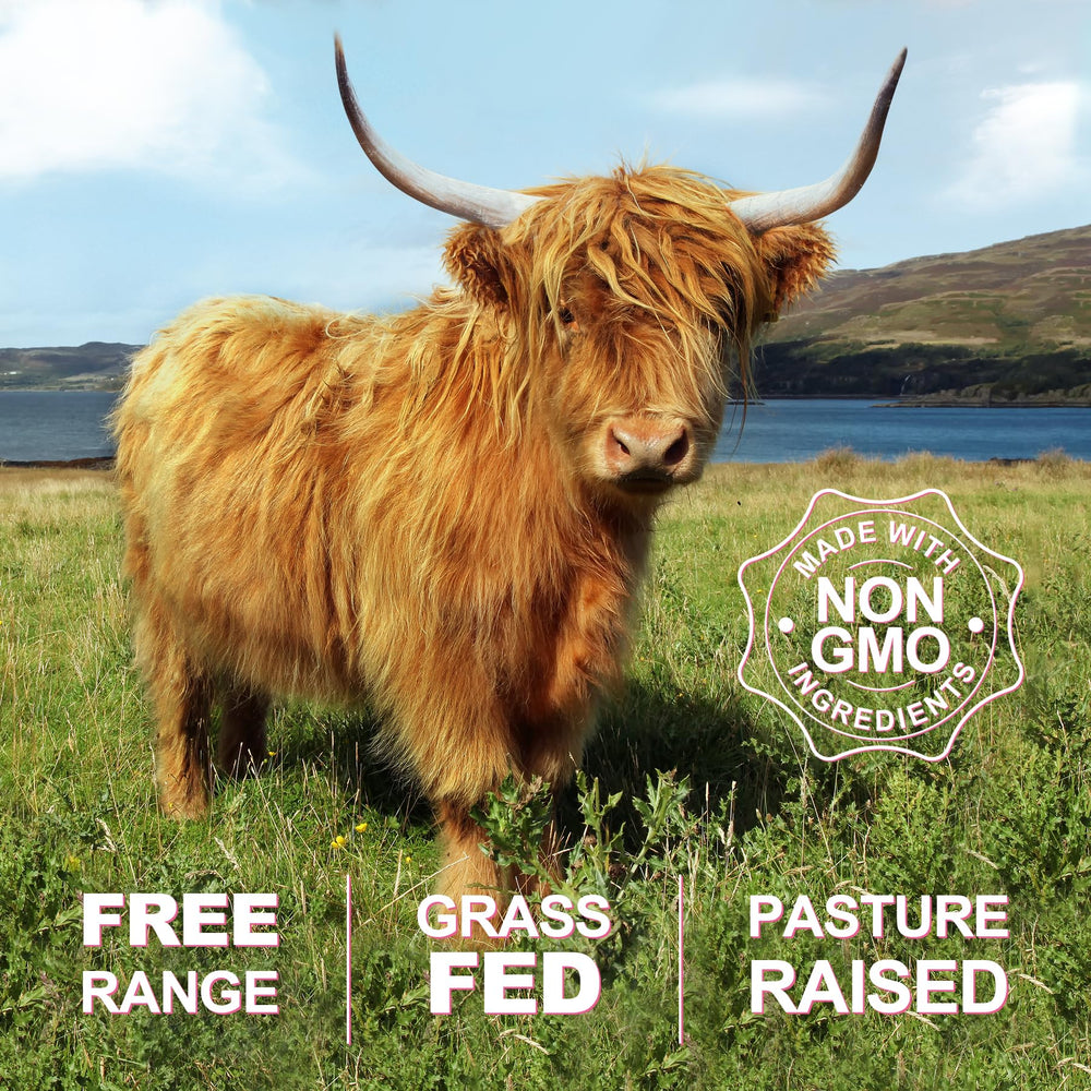 Packaging with GMP and lot-testing assurance for SKLIA beef organ supplement