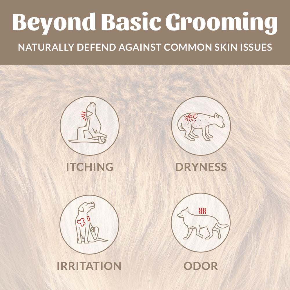 Gentle puppy shampoo by Skout’s Honor with avocado oil for sensitive skin