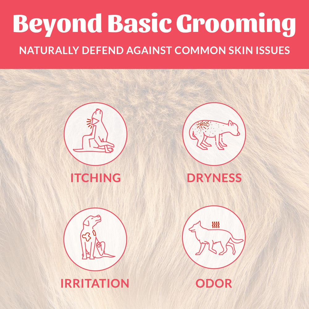 Close-up of Skout's Honor shampoo label emphasizing natural ingredients.