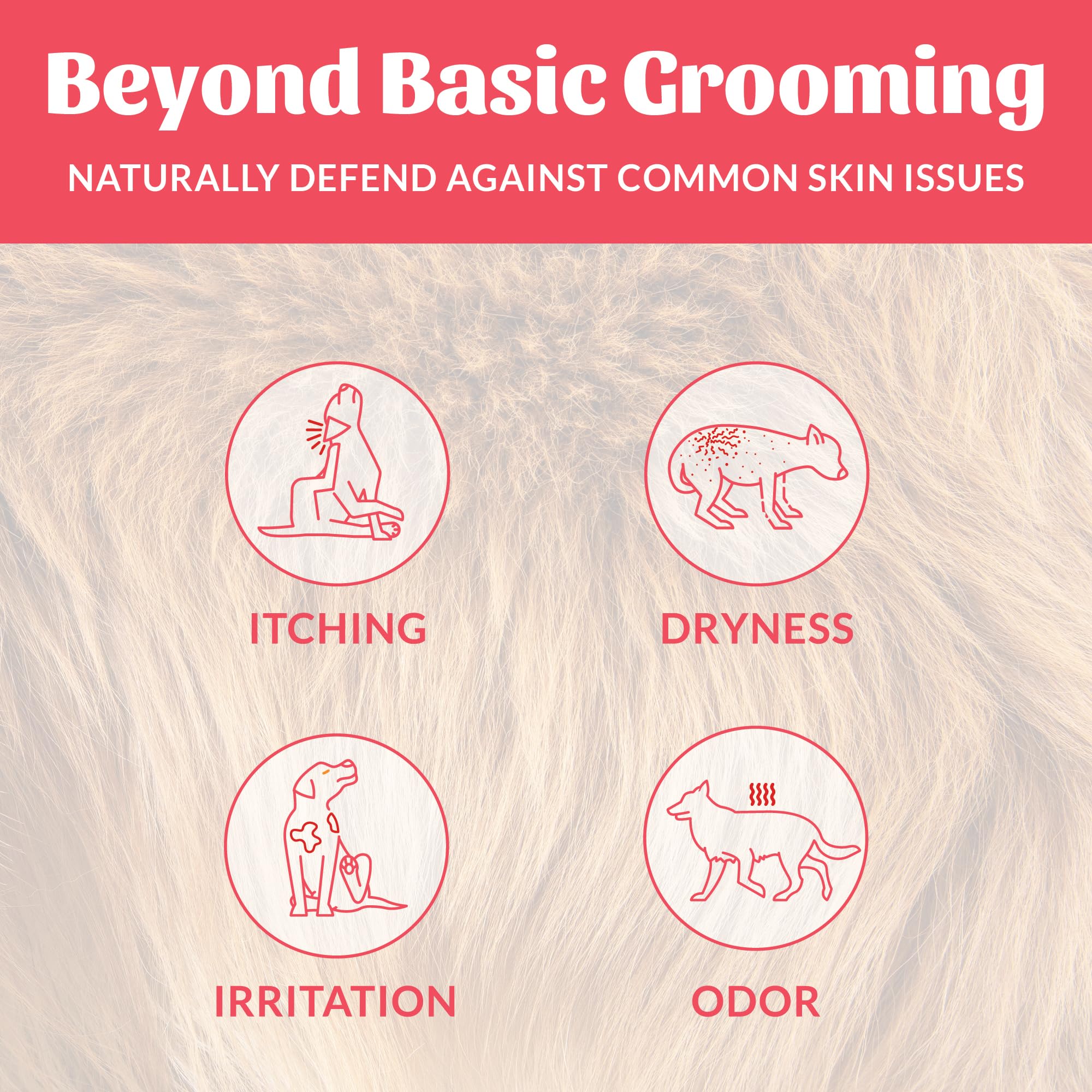 Skout's Honor label closeup highlighting avocado oil for conditioning and moisture.
