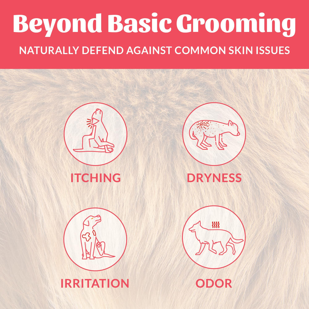 Skout's Honor label closeup highlighting avocado oil for conditioning and moisture.