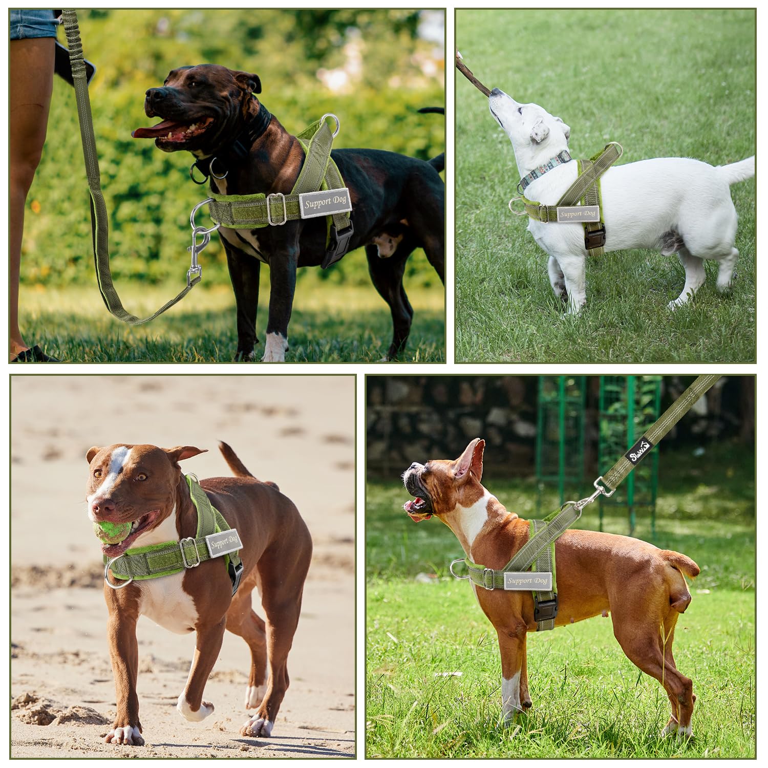 SlowTon adjustable neck and chest harness fits diverse dogs securely