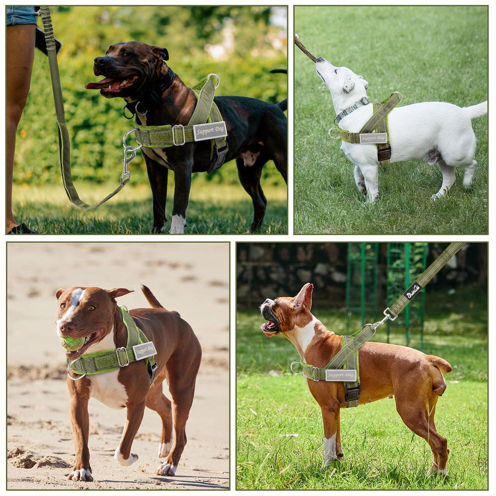 SlowTon adjustable neck and chest harness fits diverse dogs securely