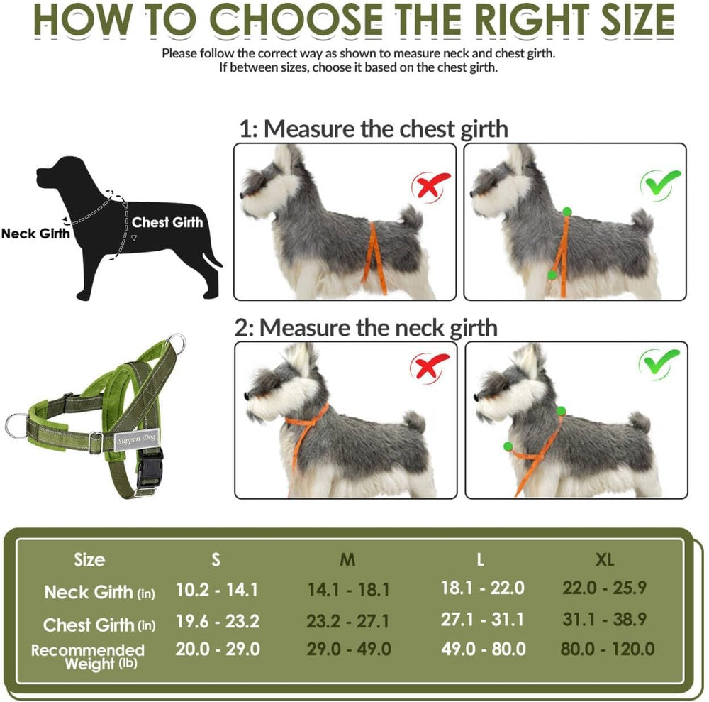 SlowTon double-handle leash provides versatile control in crowded settings