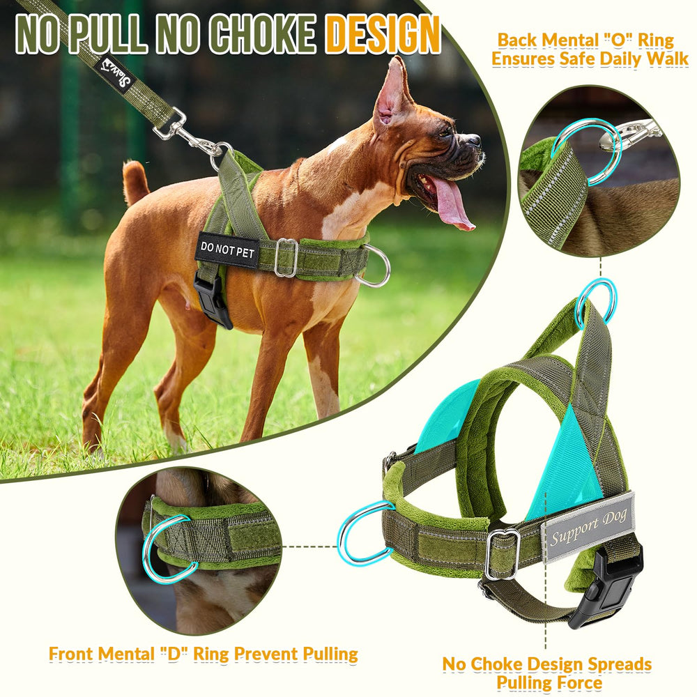SlowTon harness chest D-ring supports training and steering during hikes