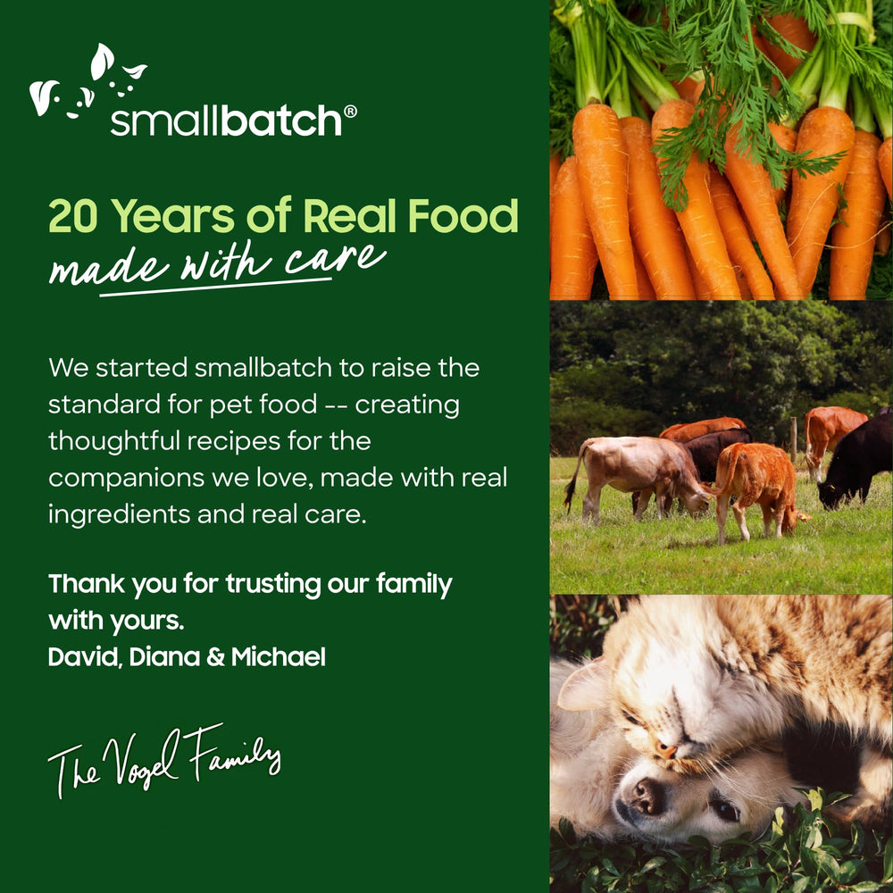 Smallbatch Pets grain-free dog food image showcasing dietary choice
