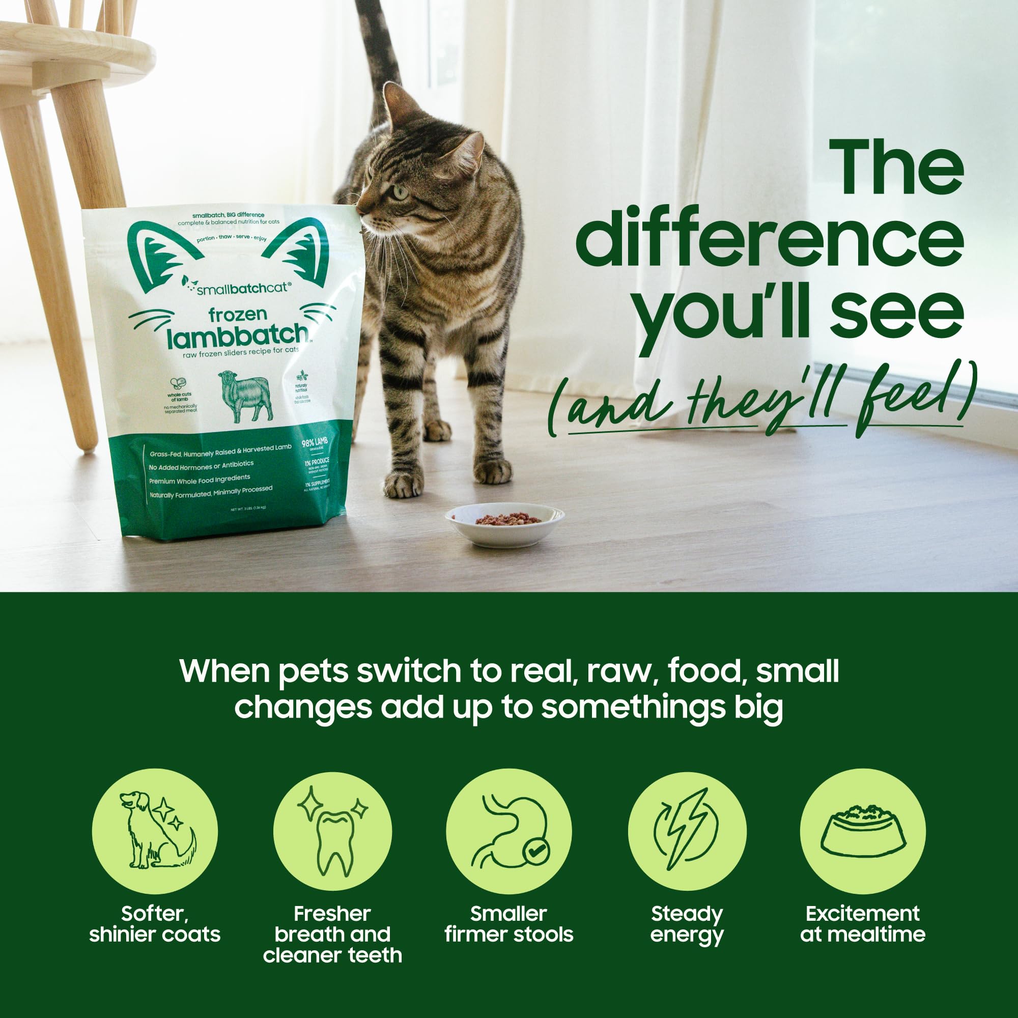 Smallbatch Pets hydrate and serve image illustrating how to rehydrate patties for serving