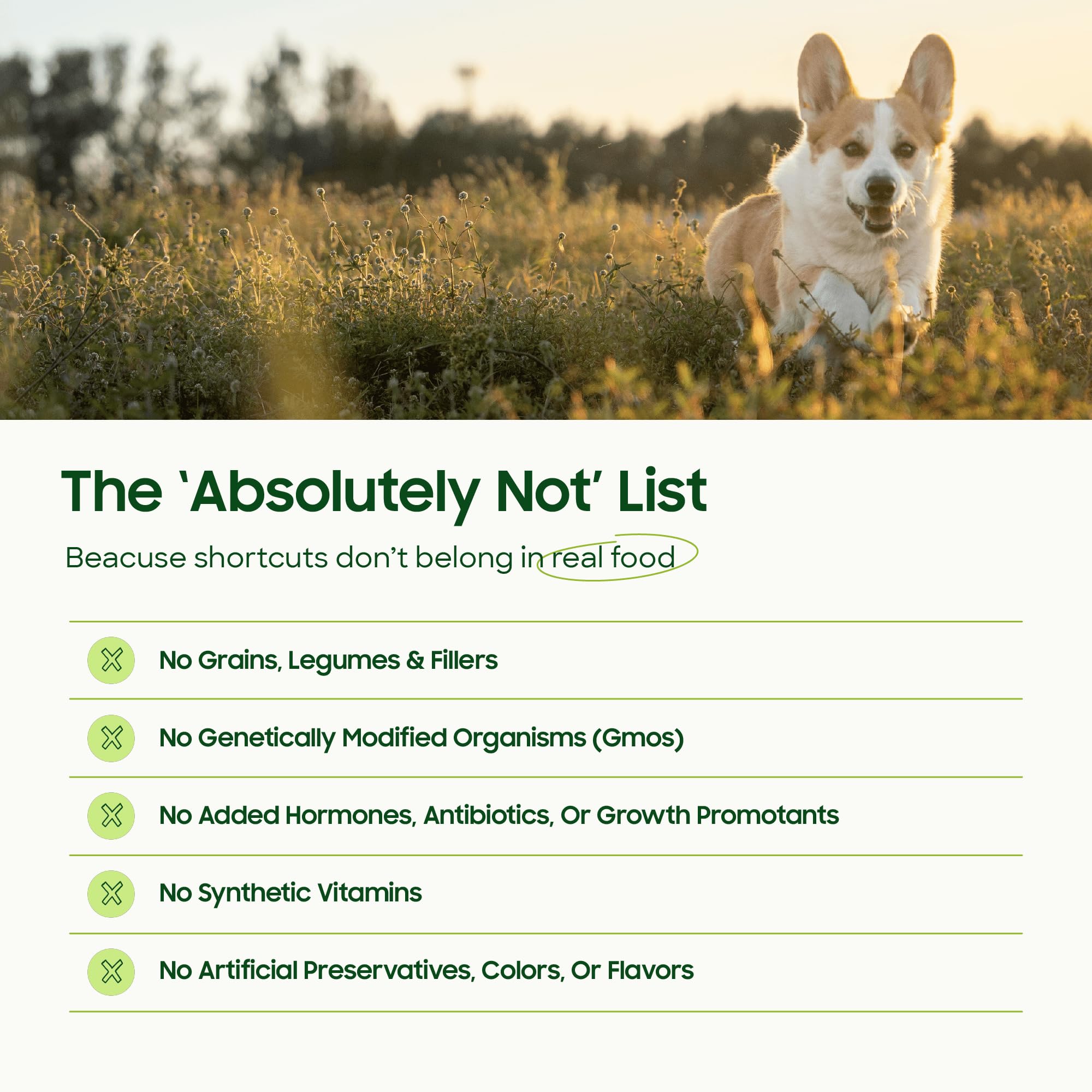 Smallbatch Pets single-protein turkey image highlighting limited-ingredient nutrition