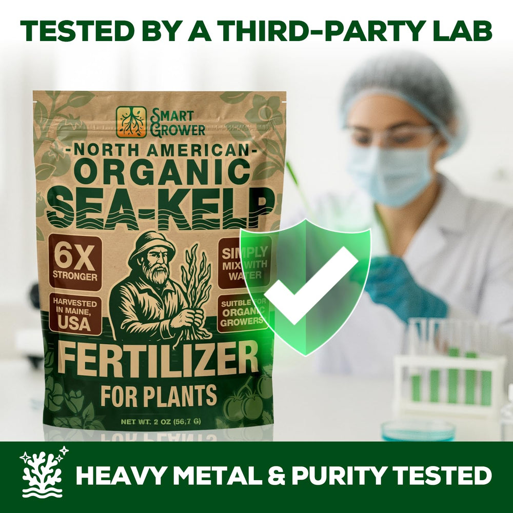 Smart Grower 0-0-18 fertilizer supports steady growth in diverse systems.
