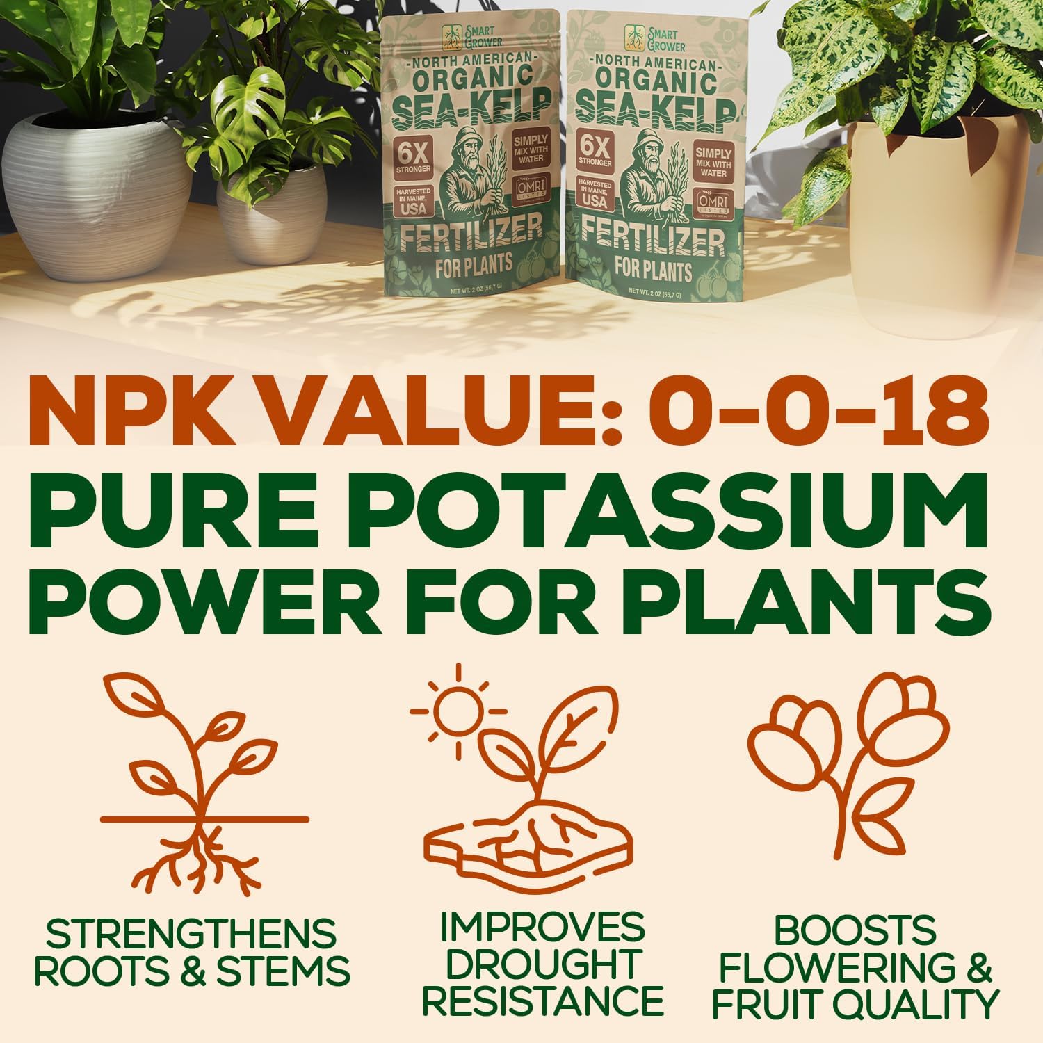 Smart Grower home garden use boosts vigor for indoor plants and vegetables.