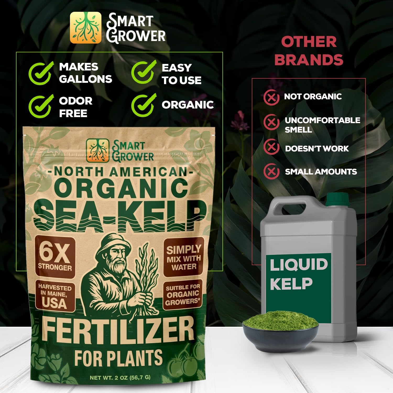 Smart Grower houseplants thrive with ocean-sourced nutrients and natural growth signals.