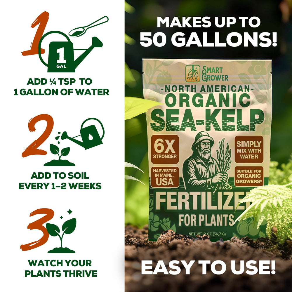 Smart Grower Maine seaweed harvest delivers ocean-derived nutrition for plants.