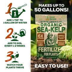 Smart Grower Maine seaweed harvest delivers ocean-derived nutrition for plants.