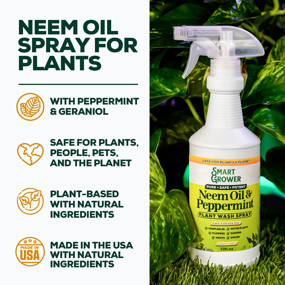 Neem oil spray on glossy leaves for shine and protection from pests