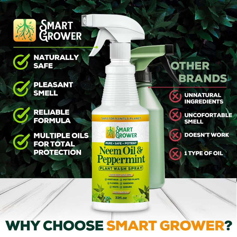 Outdoor plants treated with Smart Grower neem oil spray for protection
