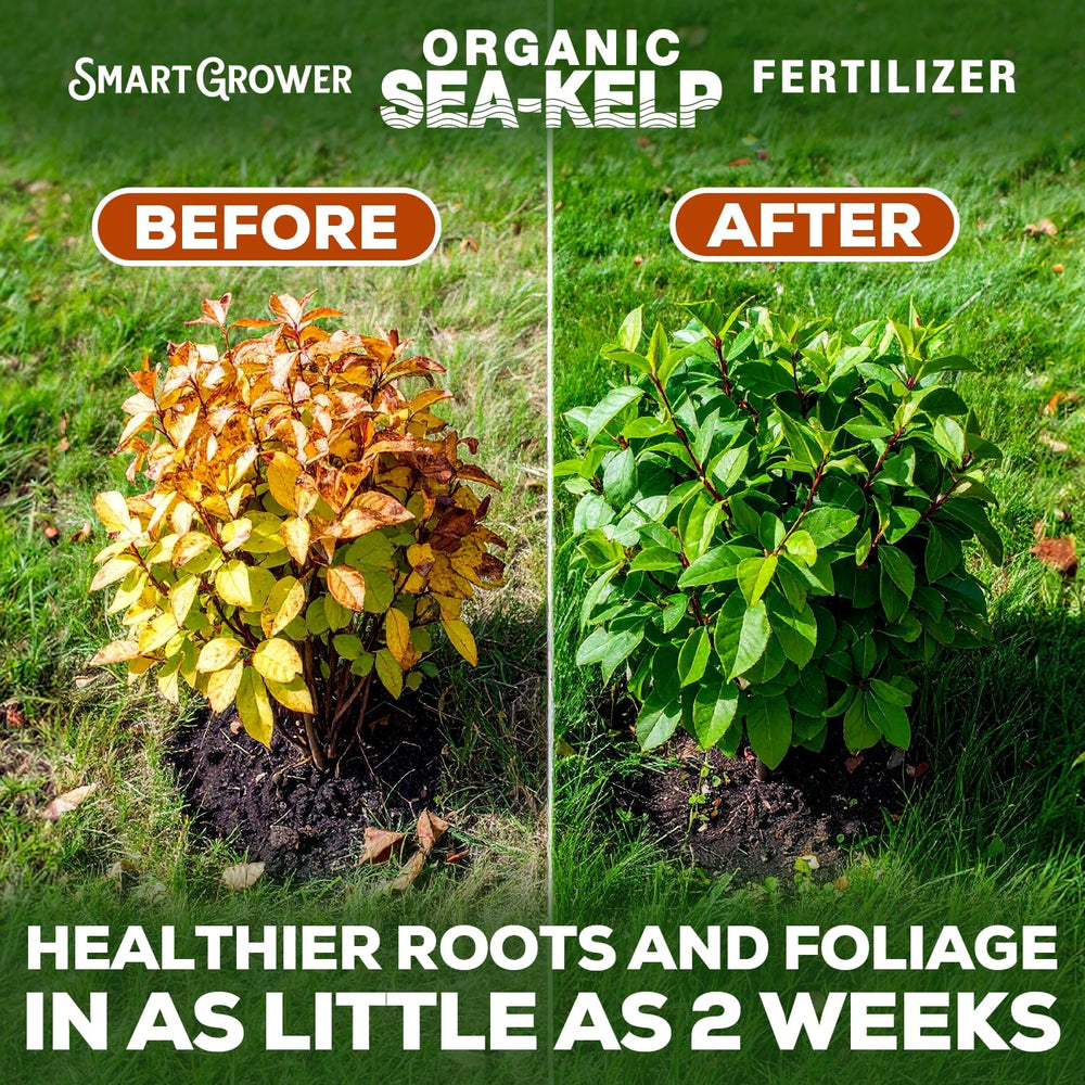 Smart Grower quick-dissolve formula makes feeding simple and fast.