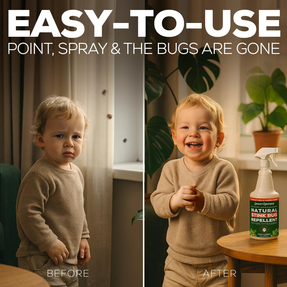 Smart Grower stink-bug-spray sofa demonstrates safe fabric protection for living rooms.