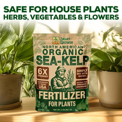 Smart Grower water-soluble kelp mix supports efficient feeding in hydroponics.