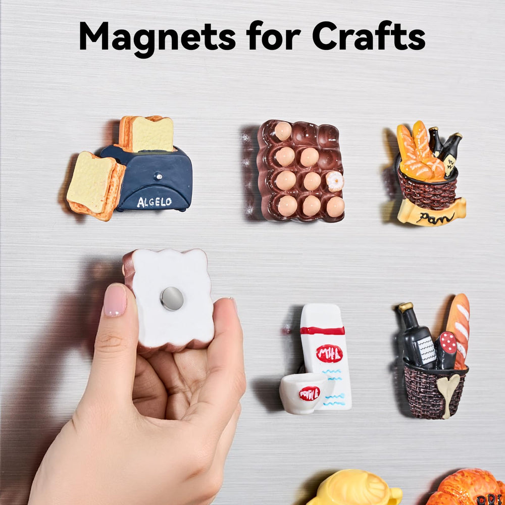 SMARTAKE storage case keeps magnets organized and portable.