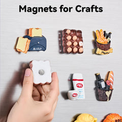 SMARTAKE storage case keeps magnets organized and portable.