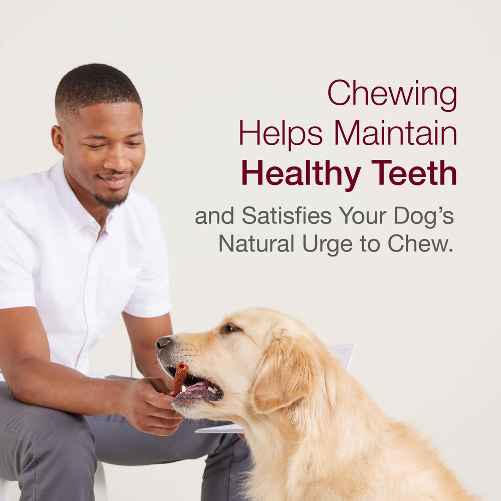 SmartBones 16 bone shapes add variety and fun during chew time.