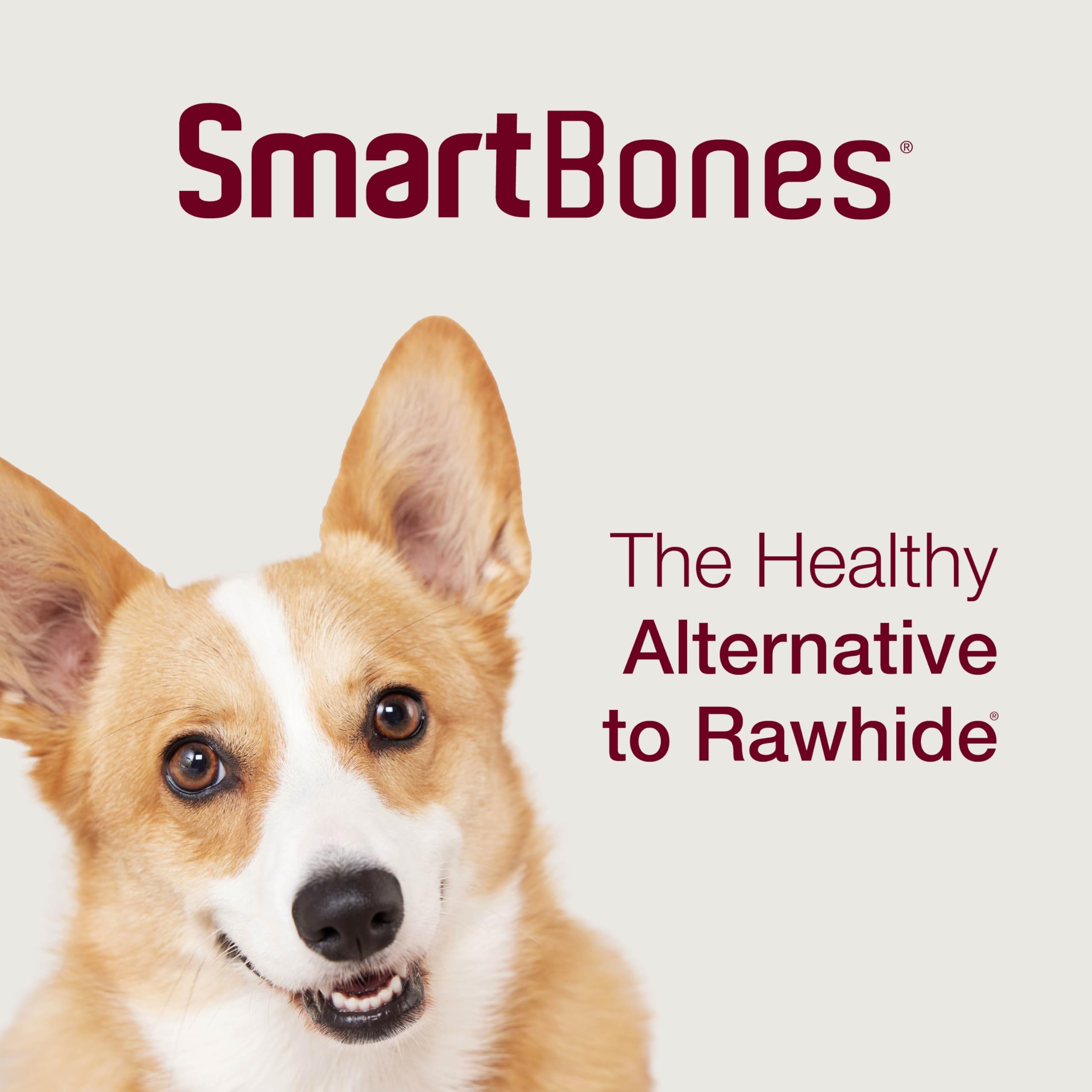 SmartBones Twist Sticks ensemble chiens heureux : moments de plaisir et complicité