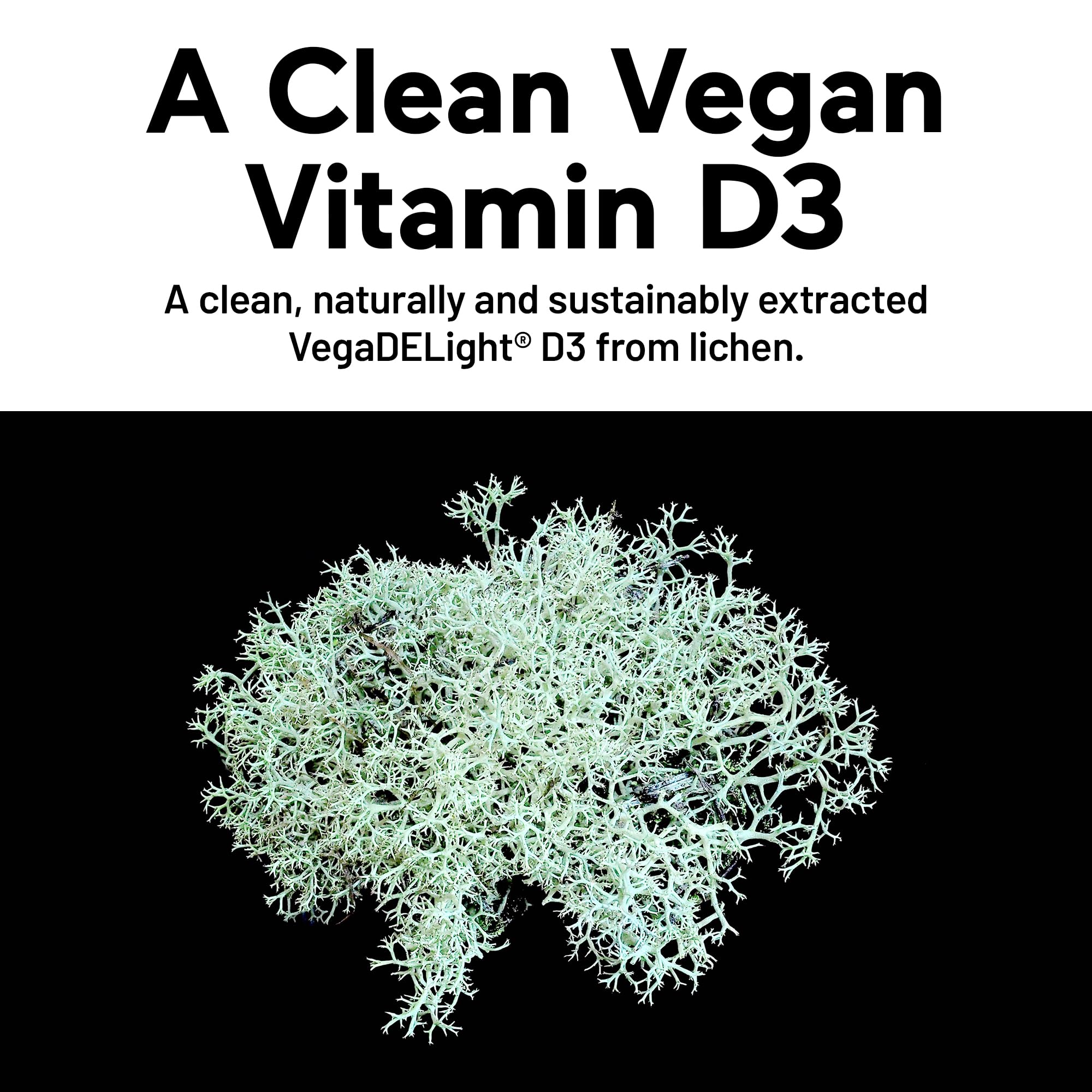SMARTERNUTRITION VitaMK7 and MK-4 blend highlights natural K2 for bone support.