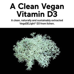 SMARTERNUTRITION VitaMK7 and MK-4 blend highlights natural K2 for bone support.