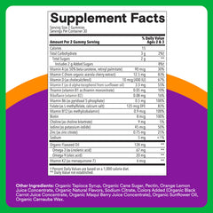 SmartyPants Omega-3 ALA gummies show vegetarian source for healthy development.