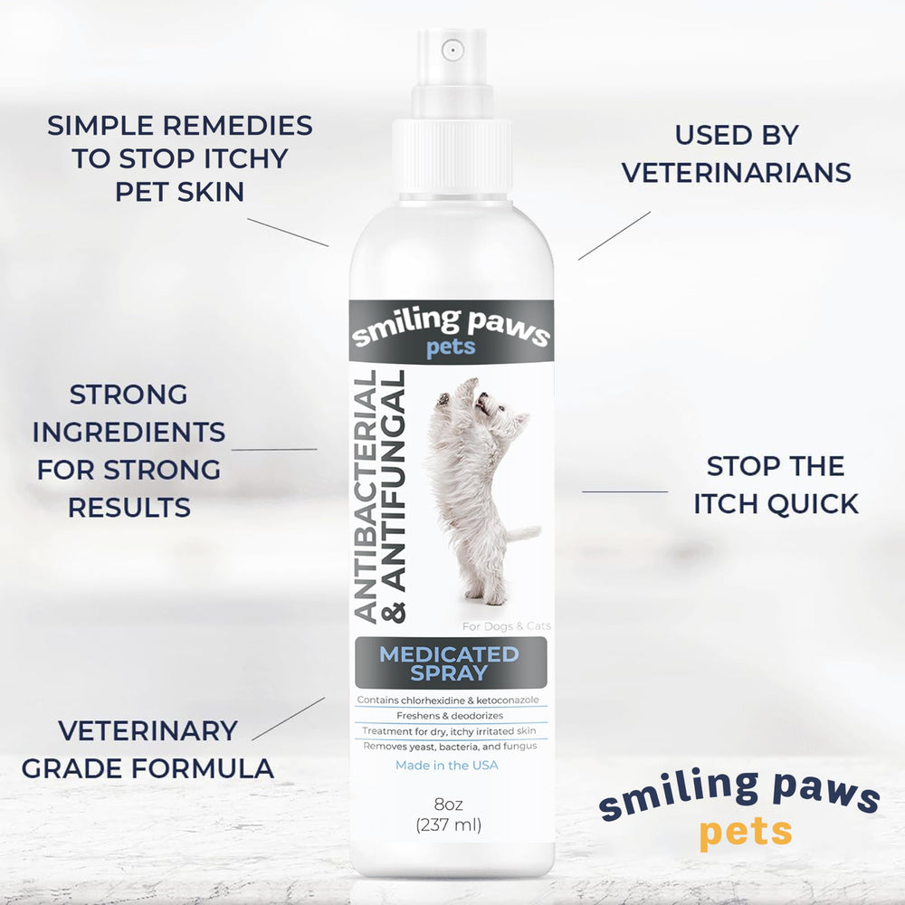 Chlorhexidine spray mist covering dog and cat skin for balanced care.